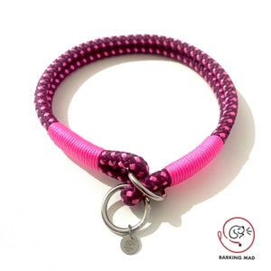 Double rope dog slip collar (made to order)