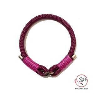 Collier d&#39;identification pour chien