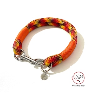 Premium clip dog collar