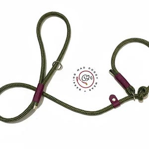 Knotted rope dog slip lead image 1