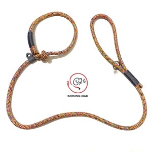 Knotted rope dog slip lead image 5