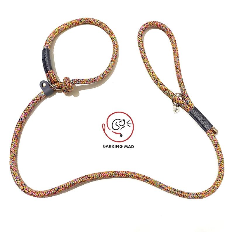 Knotted rope dog slip lead image 5