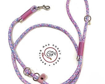 3 in 1 lead/leash. Slip, regular and figure of eight.