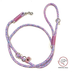 3 in 1 lead/leash. Slip, regular and figure of eight.