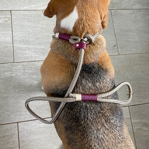 Knotted rope dog slip lead image 2