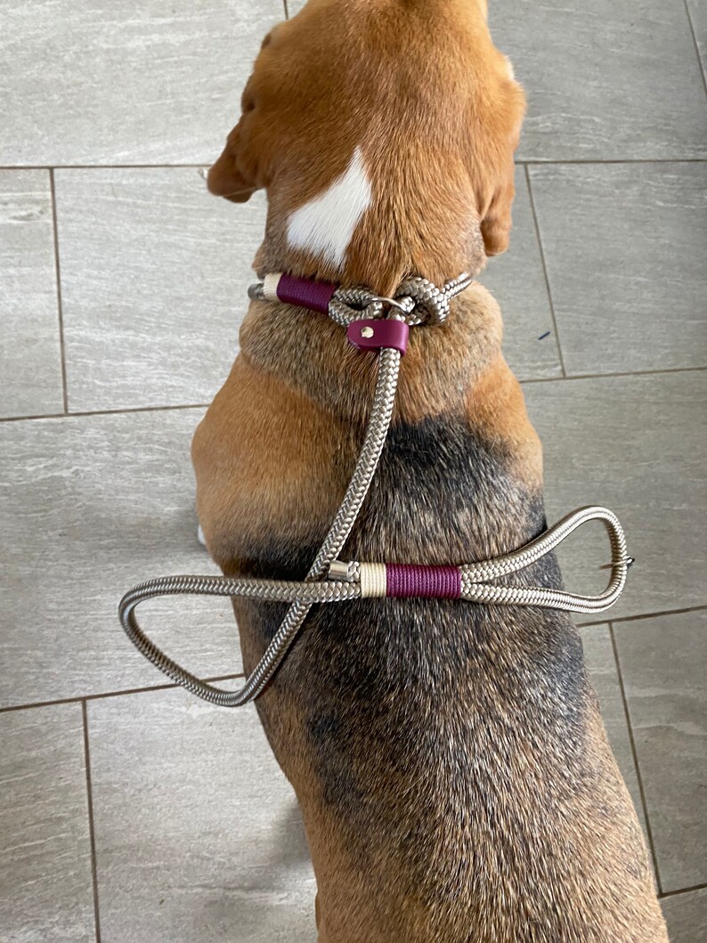 Knotted rope dog slip lead image 2