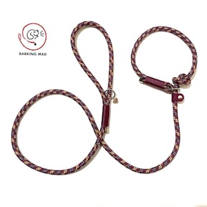 Knotted rope dog slip lead image 3