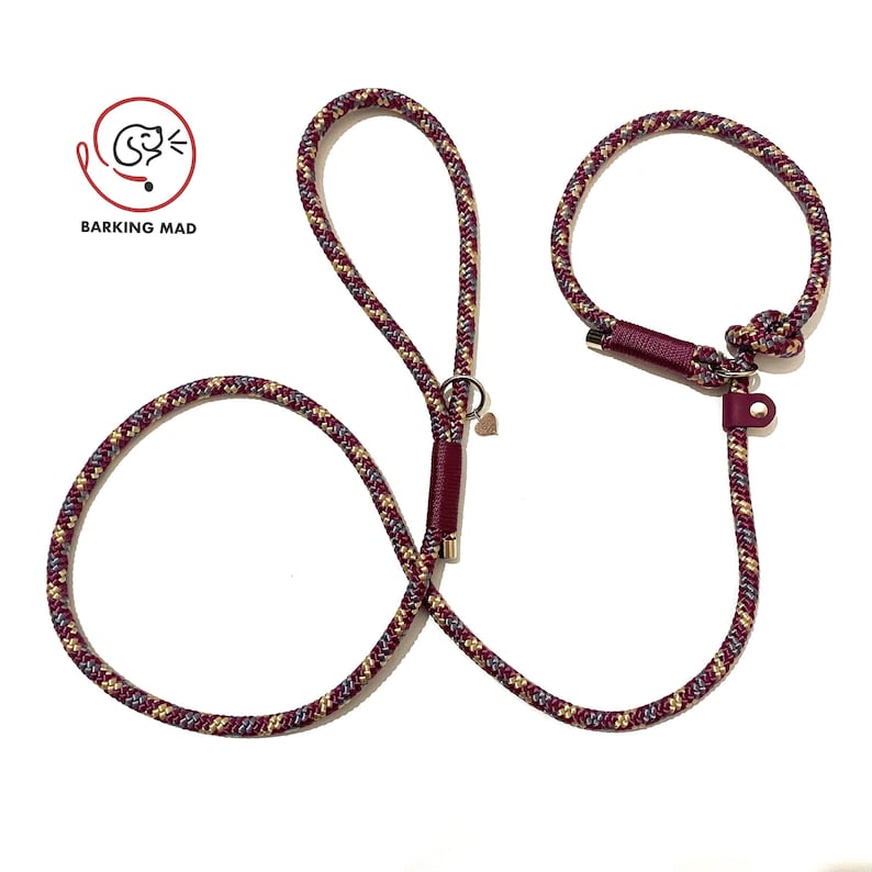 Knotted rope dog slip lead image 3