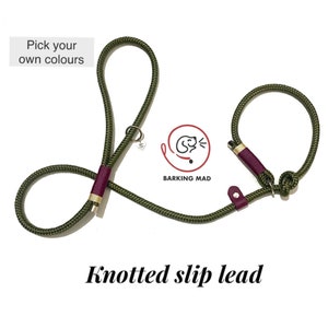 Knotted rope dog slip lead