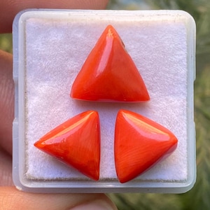 May include: Three polished, triangular coral gemstones in a clear plastic case. The gemstones are a vibrant orange-red colour and have a smooth, glossy surface. The case is held in a person's hand, with a blurred green background.