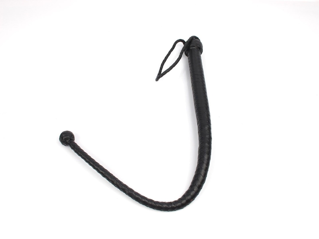 Fouet Taureau (bullwhip) 6 Pieds Tressé Nylon Violet Et Noir - Occasion Peu Utilisée