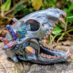 Può includere: Una scultura di teschio animale grigio scuro metallizzato con formazioni di cristalli iridescenti e multicolori incastonate lungo il lato e la parte superiore. I denti sono evidenziati con una finitura color rame e la mascella è aperta.
