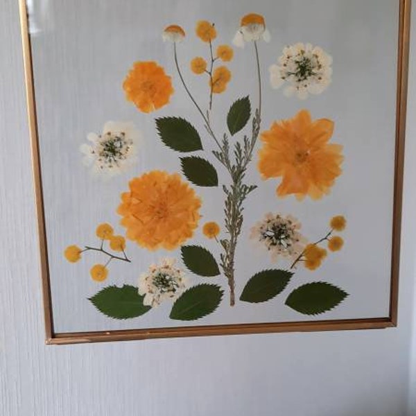 Herbarium/gedroogde bloemenlijst/geperste bloemen ingelijst/bloemmotief/woonkamerdecoratie/cadeau/bloemkunstwerk/muurframe