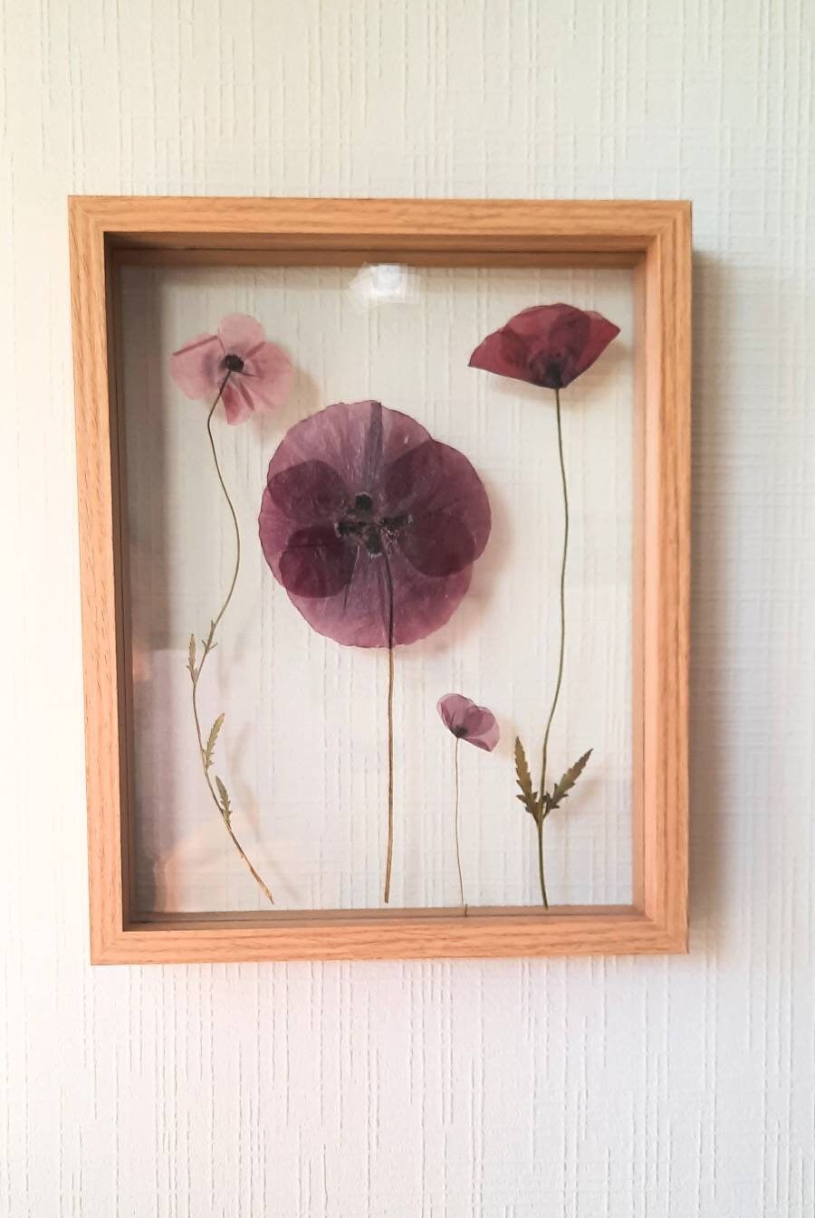 Herbier/Cadre de Fleurs Séchées Fleurs Pressées Encadrées Design Floral Décoration Salon Cadeau Œuvr