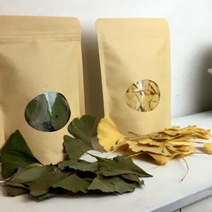 May include: Two brown paper bags with circular cutouts revealing dried leaves. One bag contains green leaves, the other yellow. Green and yellow ginkgo leaves are scattered on a white surface, suggesting a natural product or craft supply.