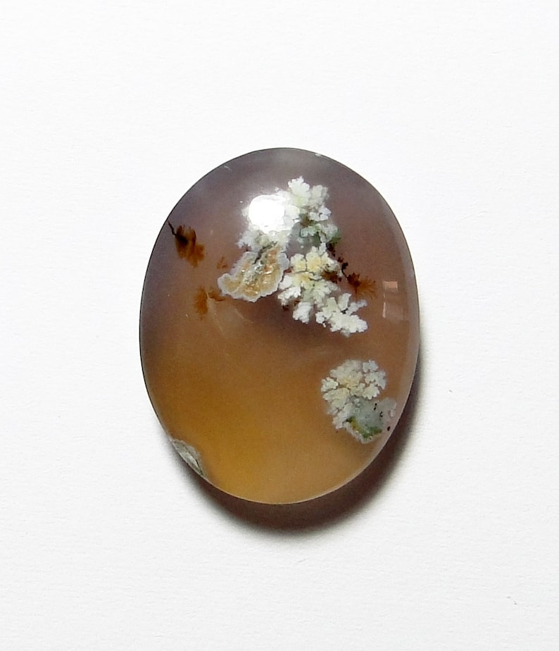 31 Ct Rare /& Beautiful Natural Dendritic Plume Agate With Colorful Trees And Flowers In Pure Gold Agate