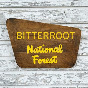 Letrero de bosque nacional personalizado, letrero de parque nacional, servicio forestal, letrero de madera con nombre, letrero personalizable, letrero de campamento, letrero de casa del lago