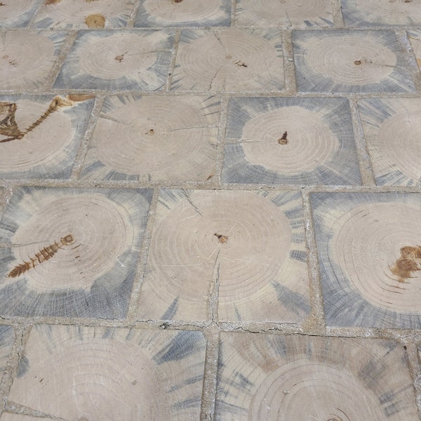 Beetle Kill Pine - Etsy