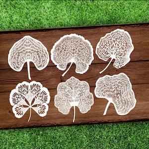 Gingko leaf Svg Bundle, Gingko leaf Vector Cut File Clipart, Digital designs, Cricut files and Silhouette cut files, Gingko