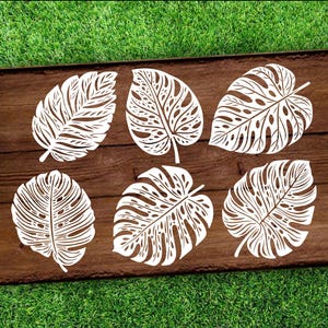 Tropical leaf Fern Svg Bundle, Tropical leaf Vector Cut File Clipart, Digital designs, Cricut files and Silhouette cut files,Tropical,Fern