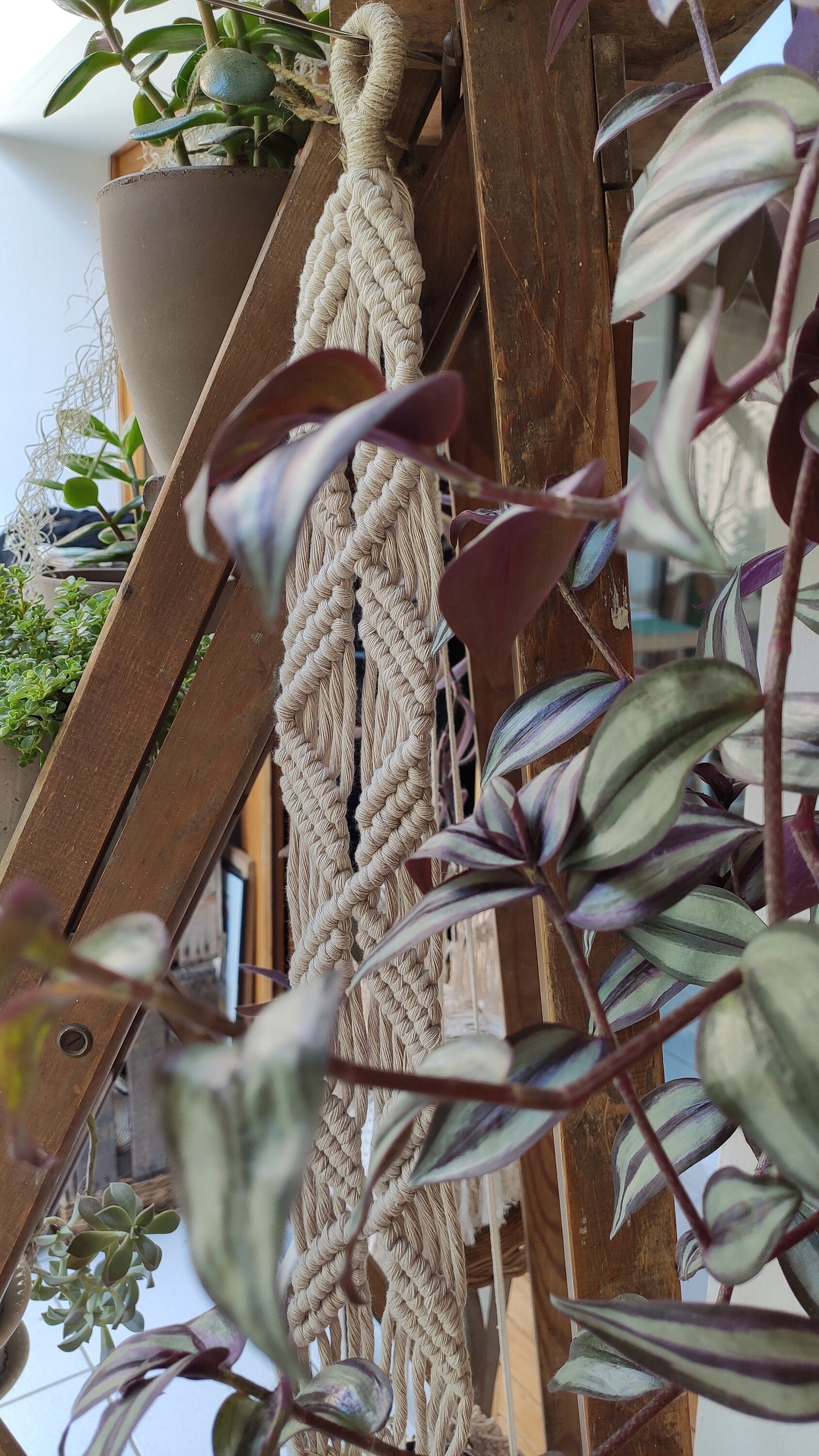 Suspension Murale en Macramé Pour Petit Pot