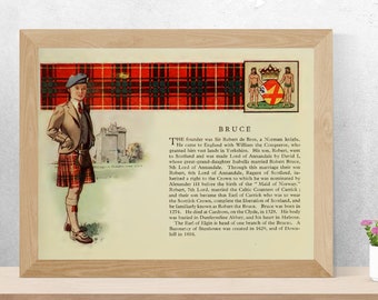 Imagen de la historia de Clan Bruce