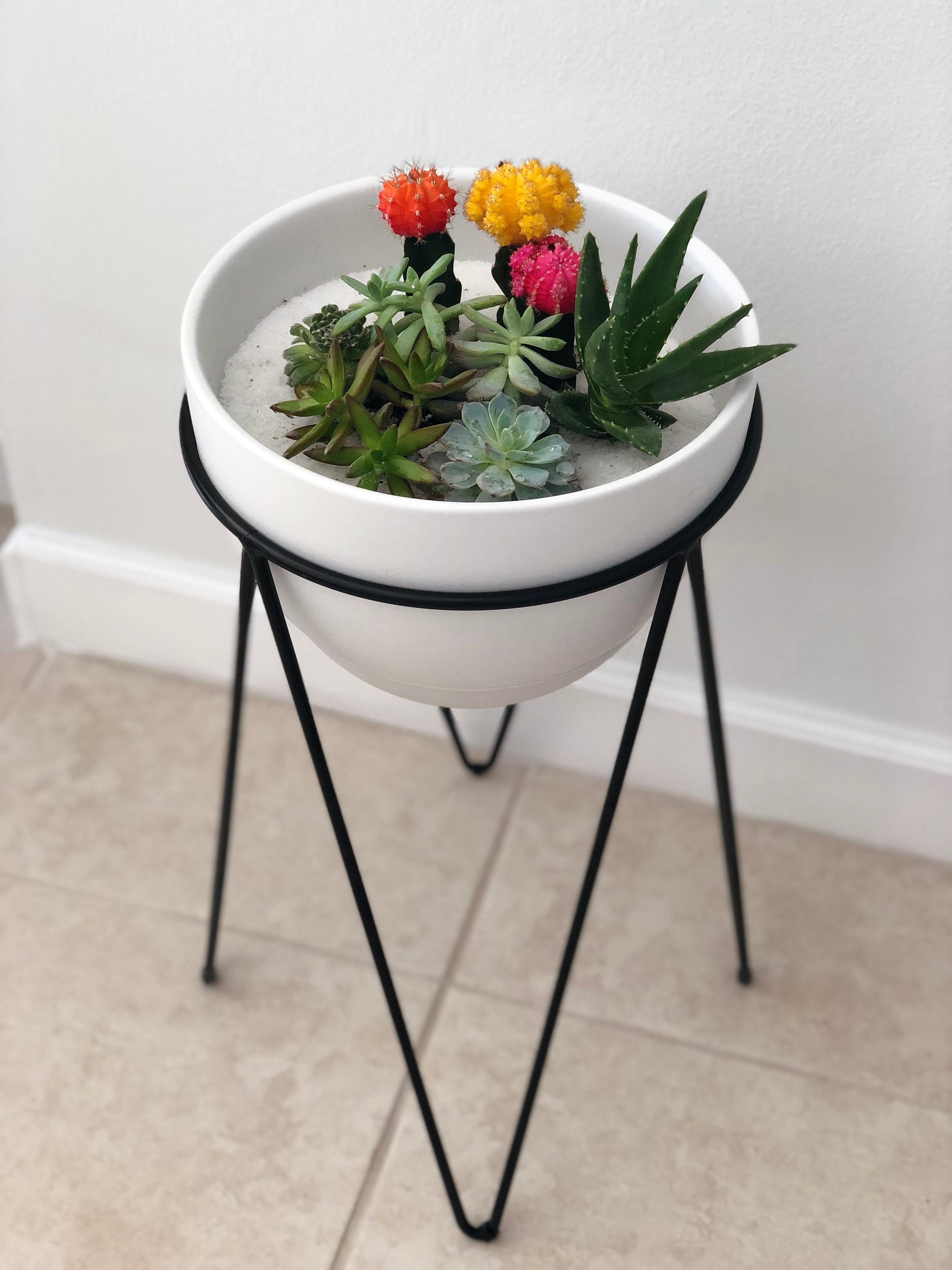 Free Standing Terrarium Etsy