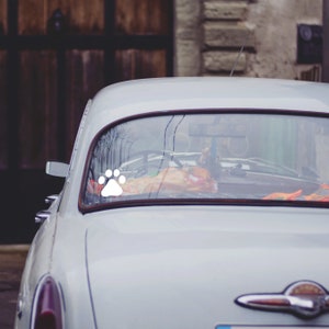 White paw print on vintage car