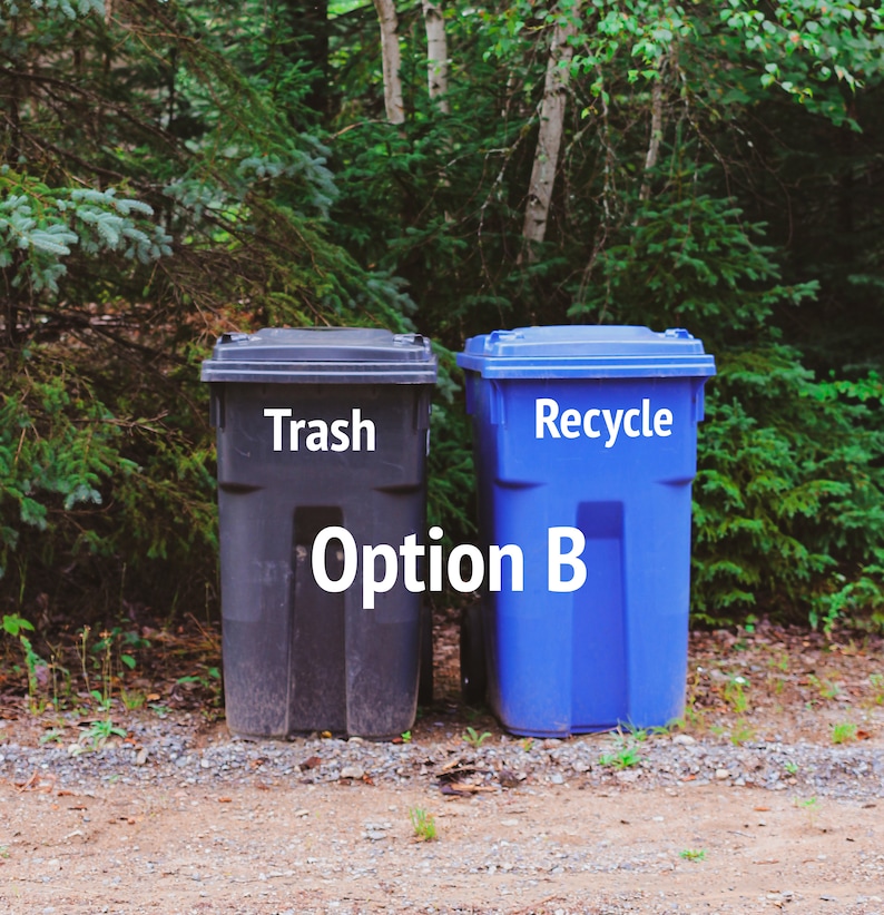 Font option B shows a Bold Sans Serif font.  Trash and Recycle decals are on respective cans