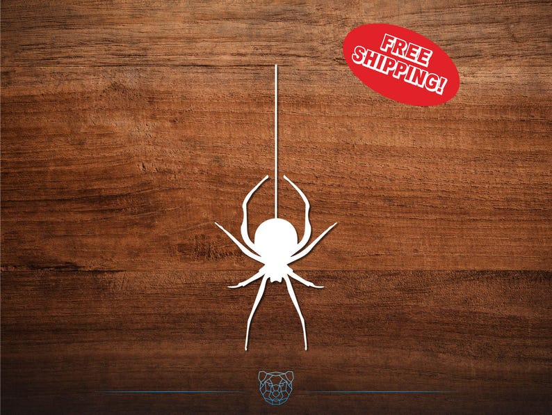 Spider Decal, in white vinyl, on a wood background.
