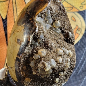 UV Reactive Septarian Dragon Egg - Black Druzy - Terminated Calcite