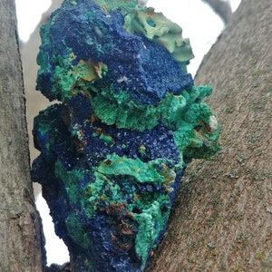 Indigo vibrant d&#39;azurite et amas de cristaux fibreux de malachite vert écume de mer - Spécimen d&#39;exposition - Chakra du coeur et de la gorge - Gemme de collection