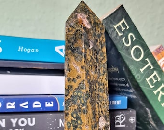 May include: A green and brown, irregularly shaped, polished stone with a pointed top. The stone is a crystal point and is sitting on a stack of books.
