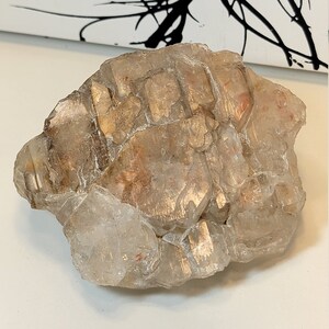 Elestial Garden Quartz Crystal - Terminated Etchings - Crown Chakra Crystals