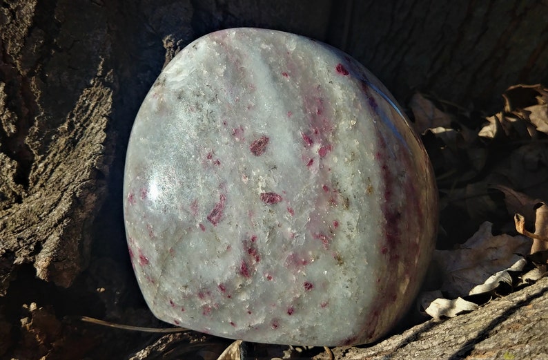 May include: A large, smooth, white and gray polished stone with red and pink inclusions. The stone has a rounded shape and is sitting on a piece of bark.