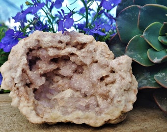 Auténtica geoda de cristal de amatista rosa de la mina Choique, Pehuenches, Neuquén, Argentina - Ejemplar de exhibición - Cristales raros
