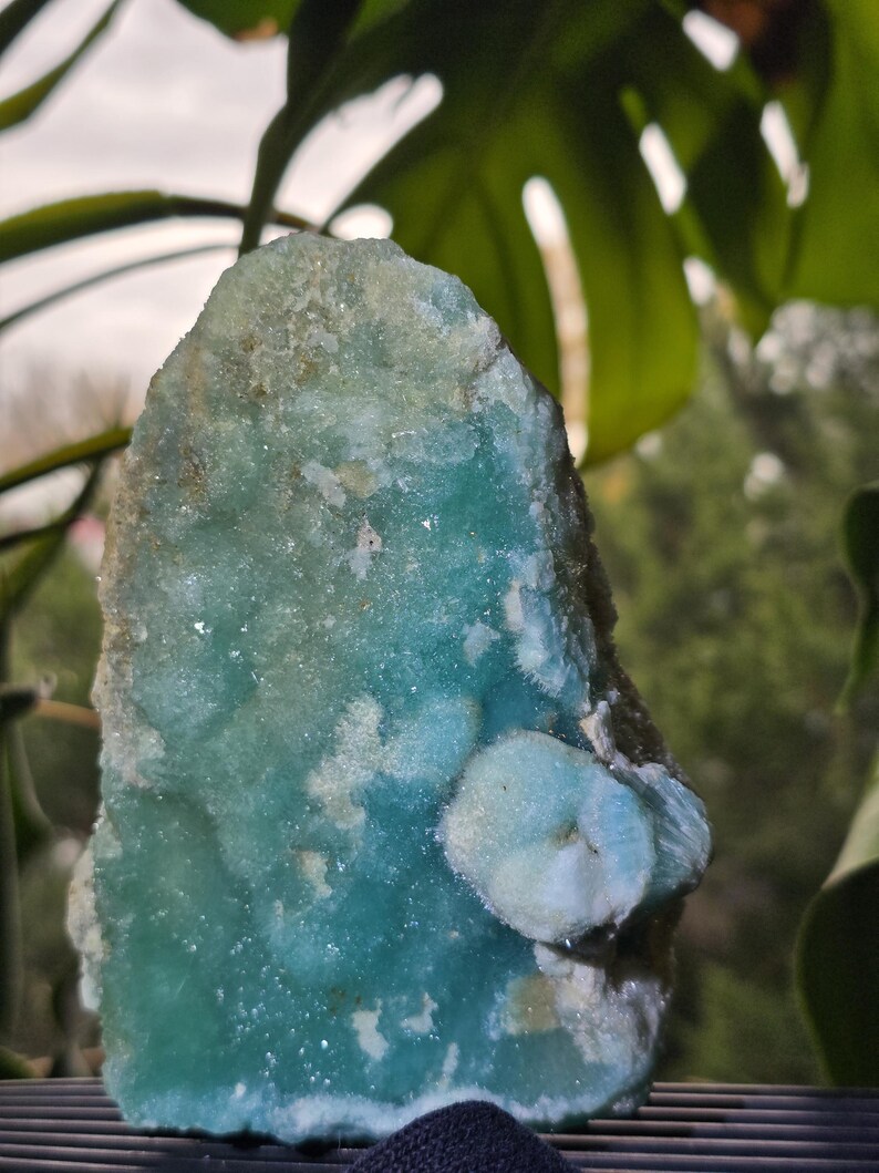 Puede incluir: Un esp&eacute;cimen mineral grande y tosco con un llamativo tono turquesa. La piedra tiene una textura cristalina y una formaci&oacute;n redondeada de color m&aacute;s claro en su lado. El fondo presenta follaje verde.