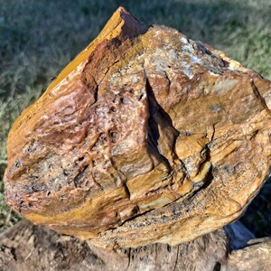 Fósil agatizado Super Druzy - Piedra energética de la diosa del mar - Muestra de exhibición fosilizada irattica glacial brillante