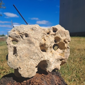 May include: A large, light-colored rock with many holes and crevices. The rock is sitting on a pile of dirt and grass.