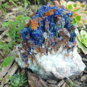May include: A cluster of blue, green, and brown crystals on a white, rocky base. The crystals are arranged in a random, natural pattern.