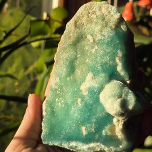 Puede incluir: Una mano sostiene un esp&eacute;cimen mineral de color turquesa con bordes &aacute;speros. La piedra tiene una superficie texturizada con parches m&aacute;s claros y una peque&ntilde;a protuberancia redondeada. El fondo est&aacute; borroso, con toques de follaje verde y luz solar.