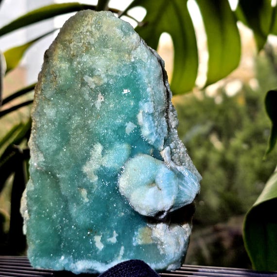 Gem Blue Aragonite - Large Druzy Crystal Display with Stalactite eye
