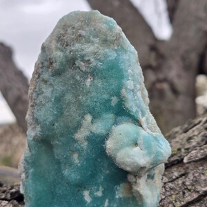 Puede incluir: Un esp&eacute;cimen mineral en bruto de color turquesa, con una superficie texturizada. La piedra presenta &aacute;reas de color azul claro y blanco, con un aspecto cristalino. El fondo muestra un tronco y ramas de &aacute;rbol borrosos.