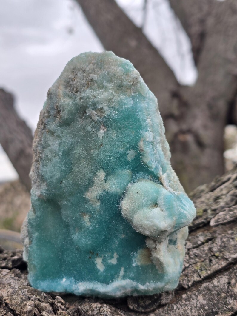 Puede incluir: Un esp&eacute;cimen mineral en bruto de color turquesa, con una superficie texturizada. La piedra presenta &aacute;reas de color azul claro y blanco, con un aspecto cristalino. El fondo muestra un tronco y ramas de &aacute;rbol borrosos.