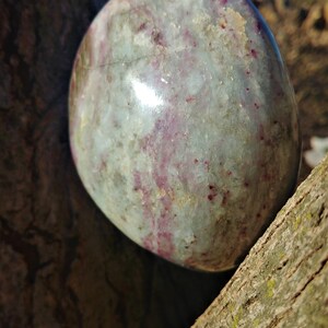 May include: A smooth, round, polished stone with a light gray and pink color pattern. The stone has a glossy finish and is resting on a piece of tree bark.