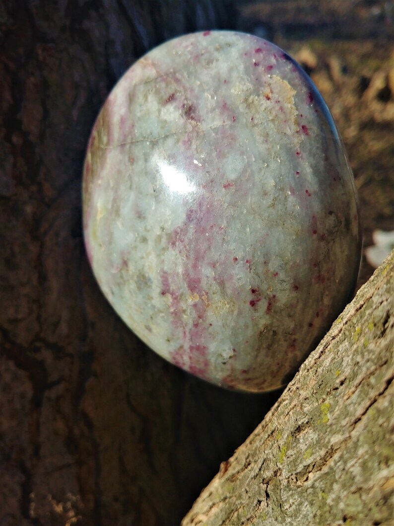 May include: A smooth, round, polished stone with a light gray and pink color pattern. The stone has a glossy finish and is resting on a piece of tree bark.