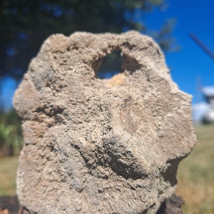 May include: A large, gray, porous rock with a hole in the center. The rock is sitting on a brown, textured surface.