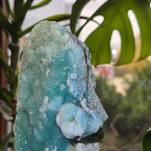 Puede incluir: Un esp&eacute;cimen mineral grande y tosco con un llamativo color turquesa y azul claro. La piedra tiene una estructura cristalina y una superficie texturizada. El fondo presenta follaje verde, lo que sugiere un entorno natural. Pieza &uacute;nica para coleccionistas.