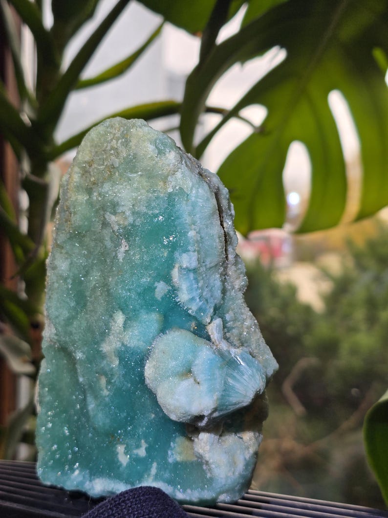 Puede incluir: Un esp&eacute;cimen mineral grande y tosco con un llamativo color turquesa y azul claro. La piedra tiene una estructura cristalina y una superficie texturizada. El fondo presenta follaje verde, lo que sugiere un entorno natural. Pieza &uacute;nica para coleccionistas.