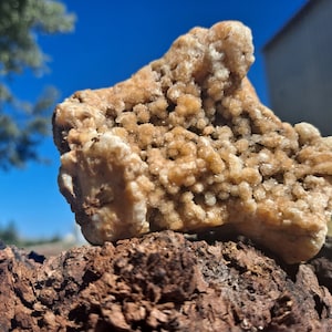 Fósil agatizado con brillantes cristales druzy - Piedra energética de la diosa del mar - Irattic glacial - Ejemplar fosilizado para exhibición - Piedra protectora